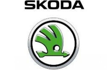 Сопровождение выездной налоговой проверки дилера автомобилей марки Skoda